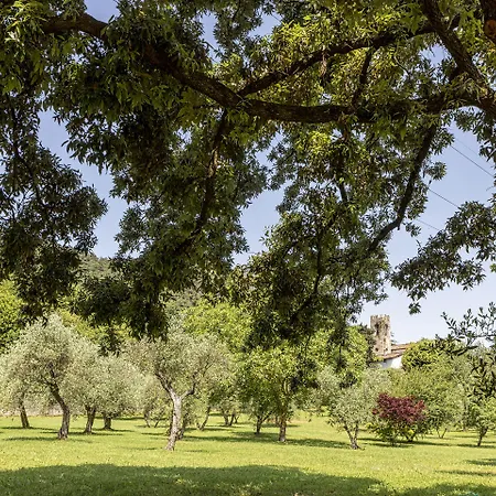 San Michele فندق لوكا